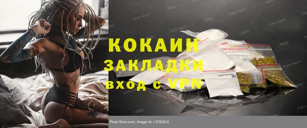 метадон Богданович