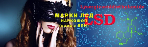apvp Богородицк