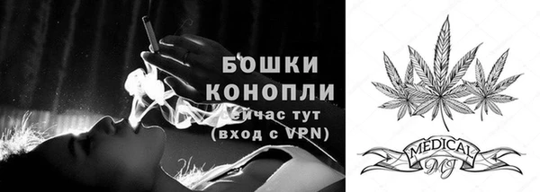 apvp Богородицк