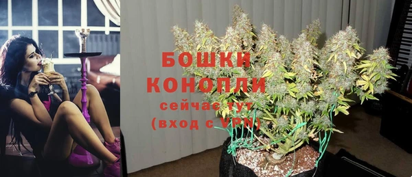 apvp Богородицк