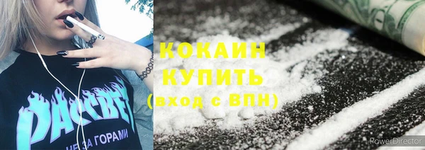 метадон Богданович