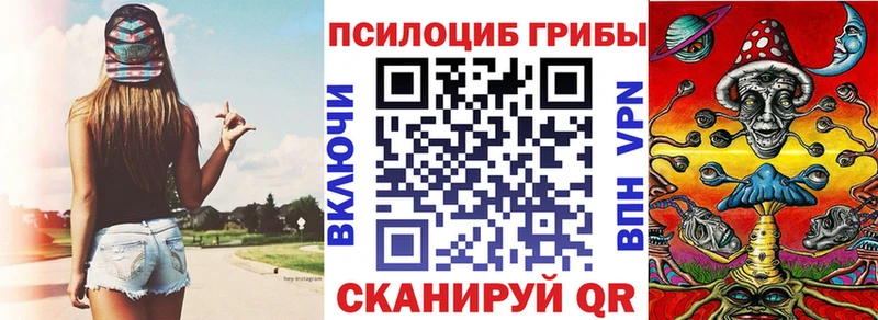 Купить  Бабаево  Псилоцибиновые грибы прущие грибы 
